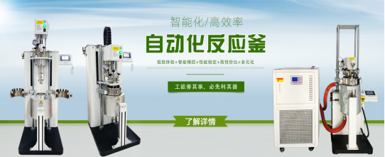 專用高壓反應釜