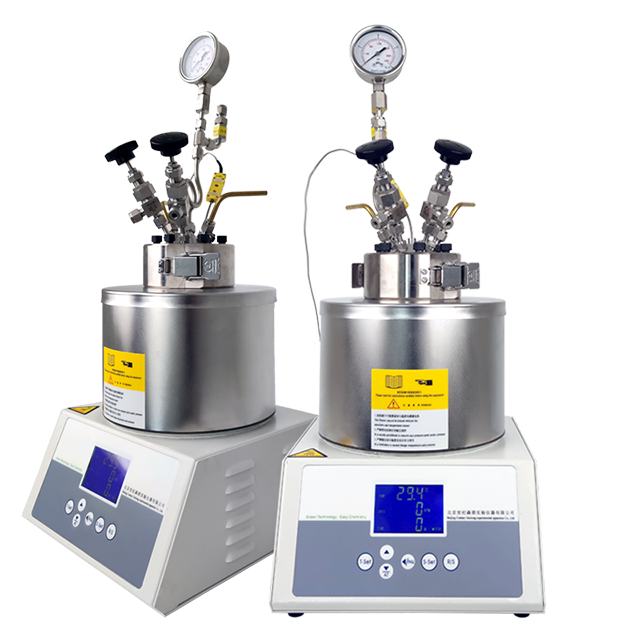 SLM1000實驗室微型反應器(圖1)