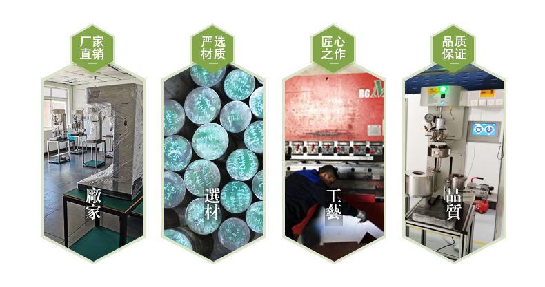 SLP810高壓平行反應器(圖2)